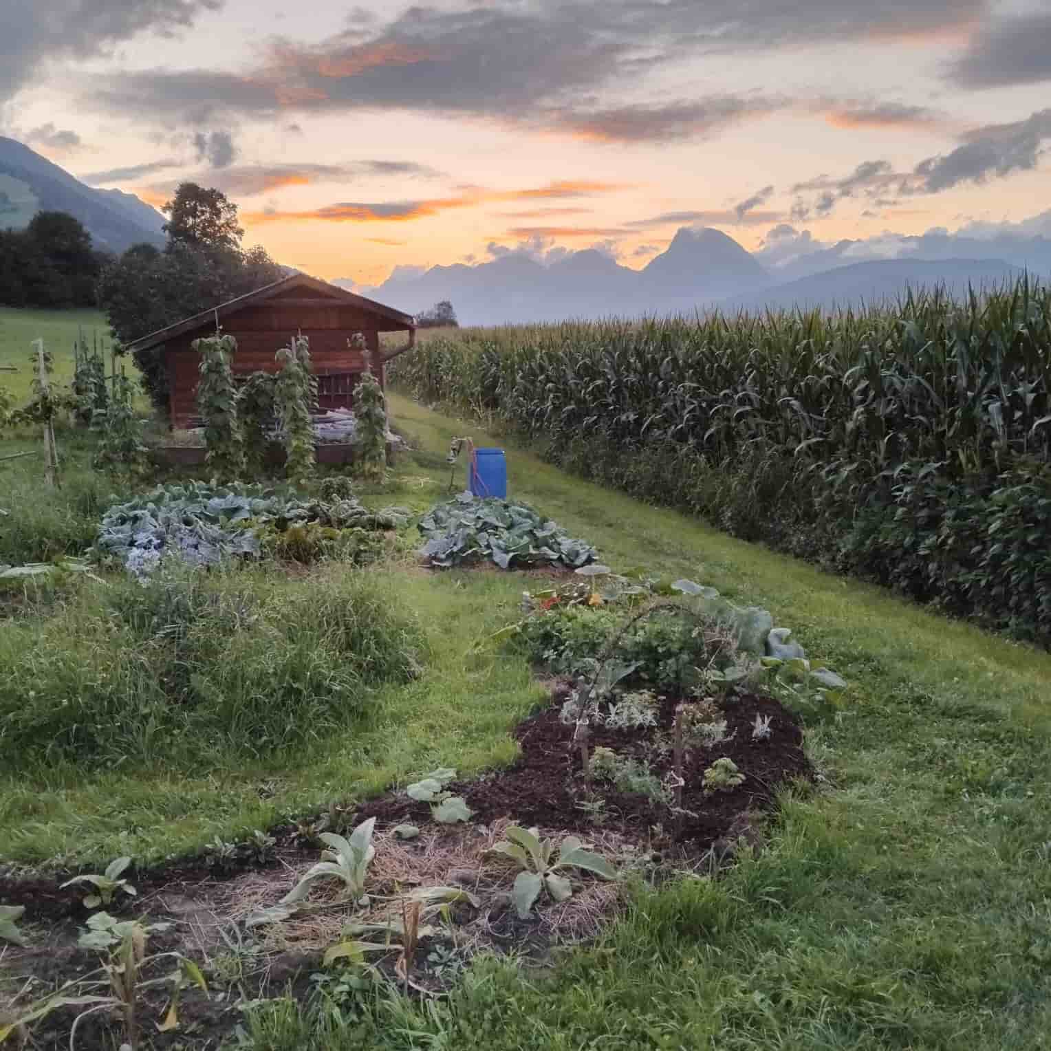 6 Monate GFK Ausbildung am Locherhof